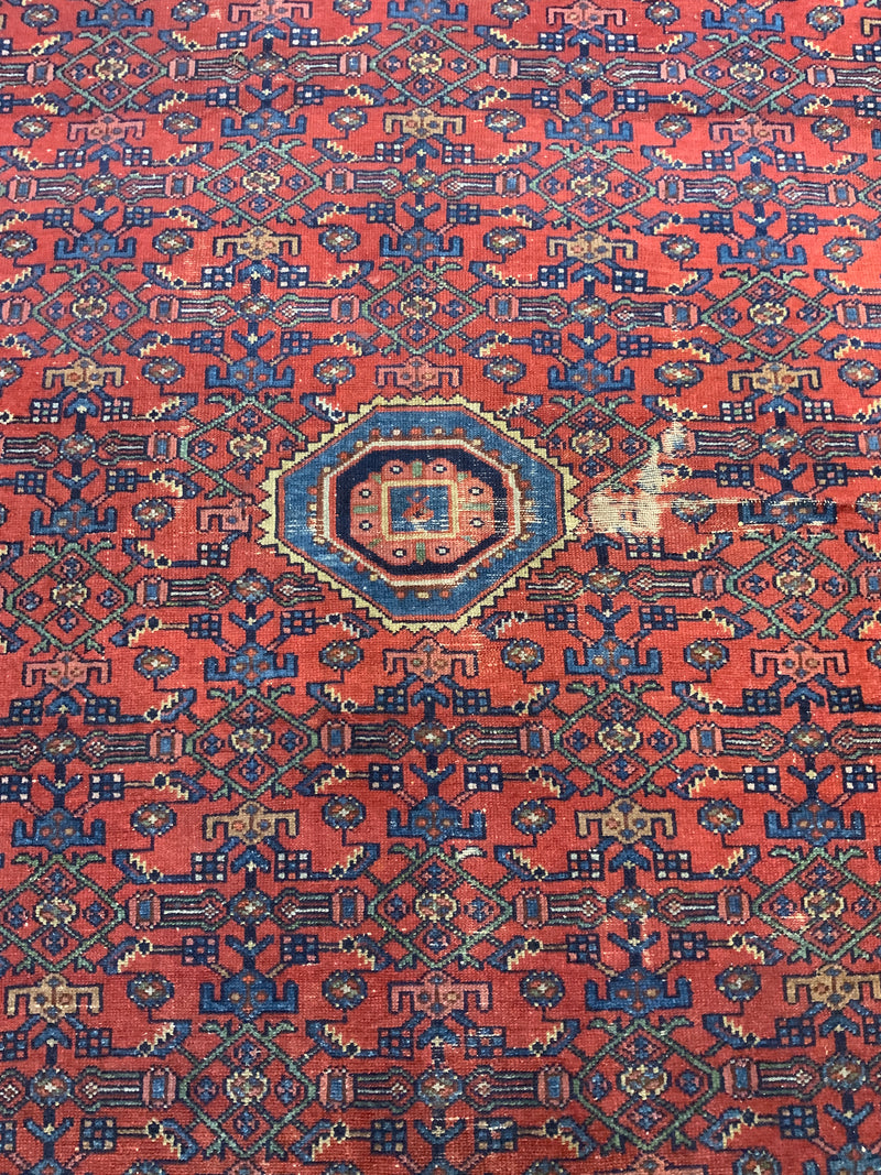 VINTAGE 5ft. x 7ft. TRADITIONAL BIDJAR