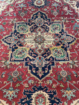 LIKE NEW 9ft. x 12ft. TRADITIONAL HERIZ - David Tiftickjian & Sons